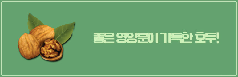 좋은 영양분이 가득한 호두