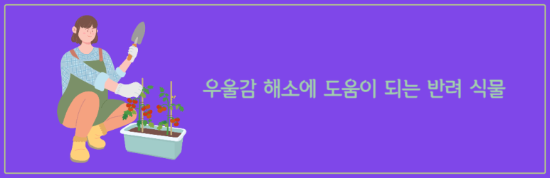 우울감 해소에 도움이 되는 반려 식물