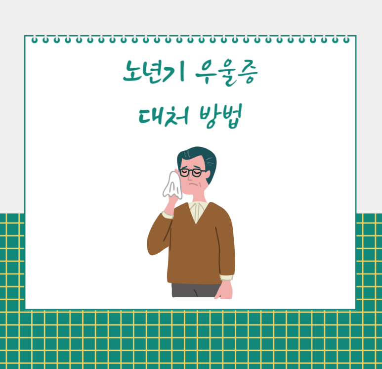 노년기 우울증 대처 방법