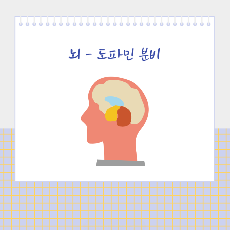 뇌 - 도파민 분비