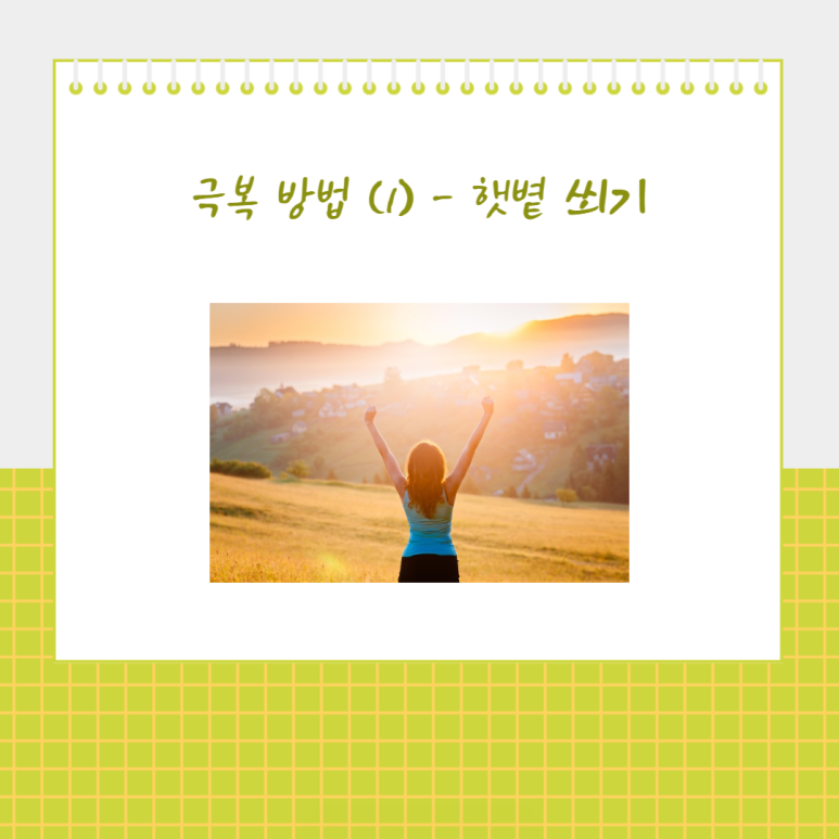 햇볕 쐐기