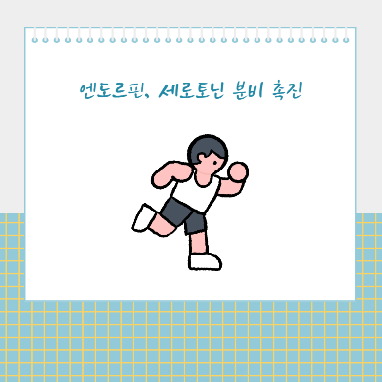 엔도르핀, 세로토닌 분비 촉진
