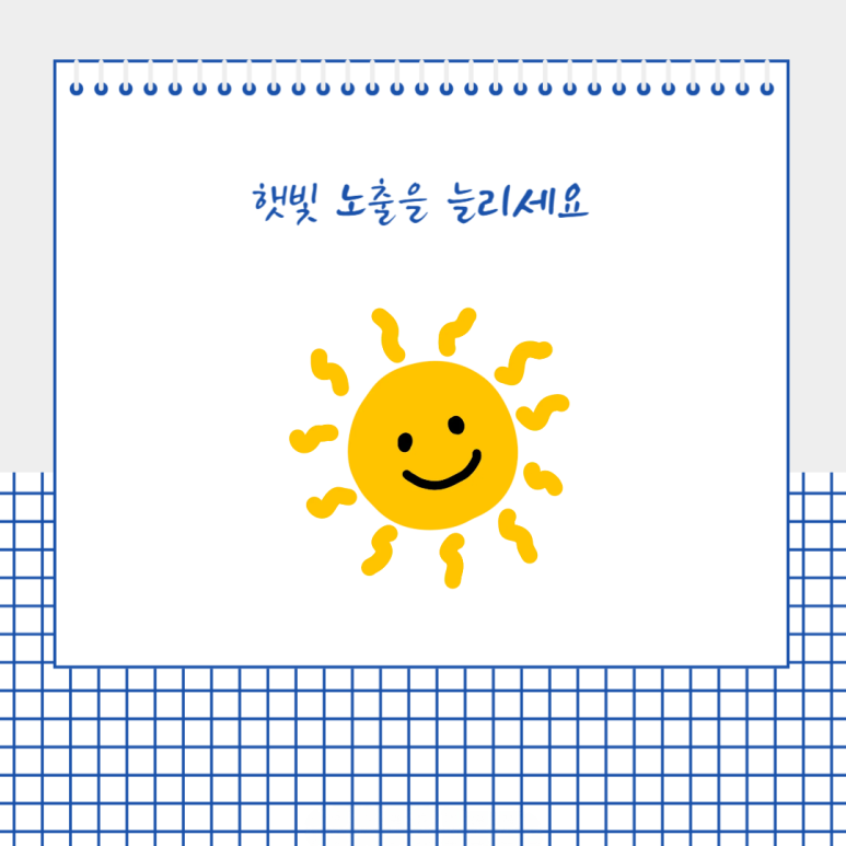 햇빛 노출을 늘리세요